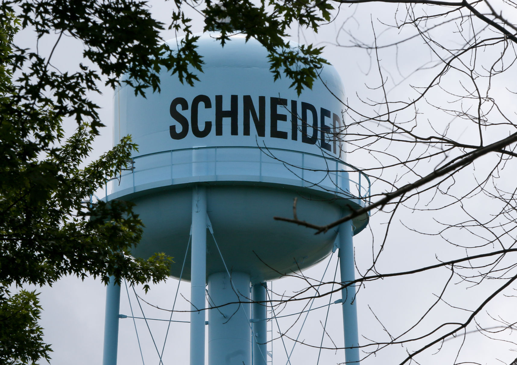 Schneider